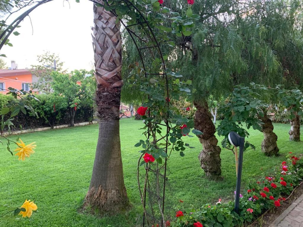 B&B The Garden Pescara Exteriör bild