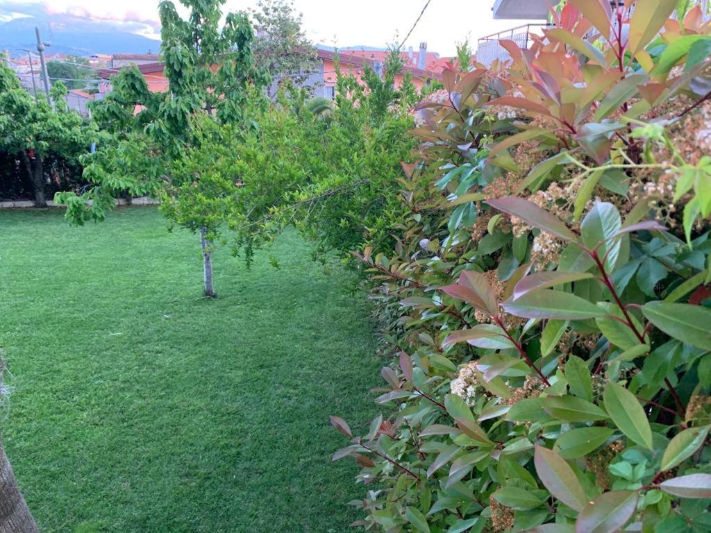 B&B The Garden Pescara Exteriör bild